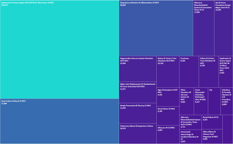 A box chart showing the top 25 diagnosis-related groups referred to long-term care facilities in 2023 by patient count.